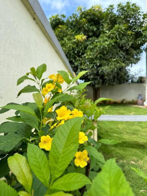Krishna Homes Bangalore Eksteriør billede